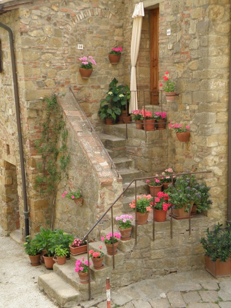 Monticchiello, fiori