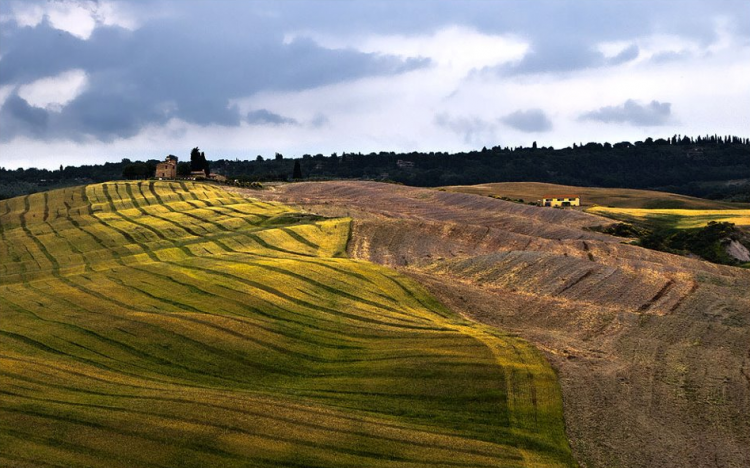 Pienza, campi