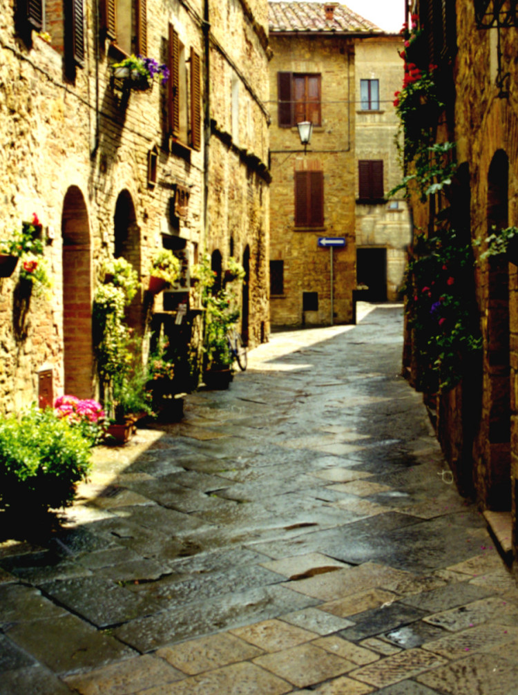 Pienza, fiori