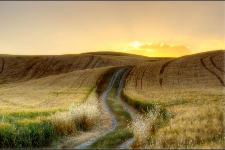 Val d'Orcia - Terrapille, dettaglio