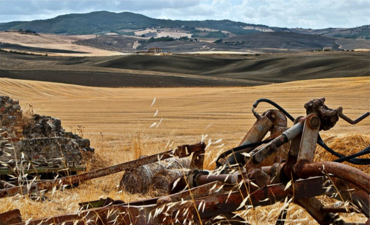 Val d'Orcia, lavori d'estate