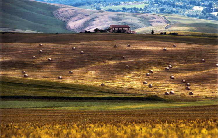 Val d'Orcia, rotoballe