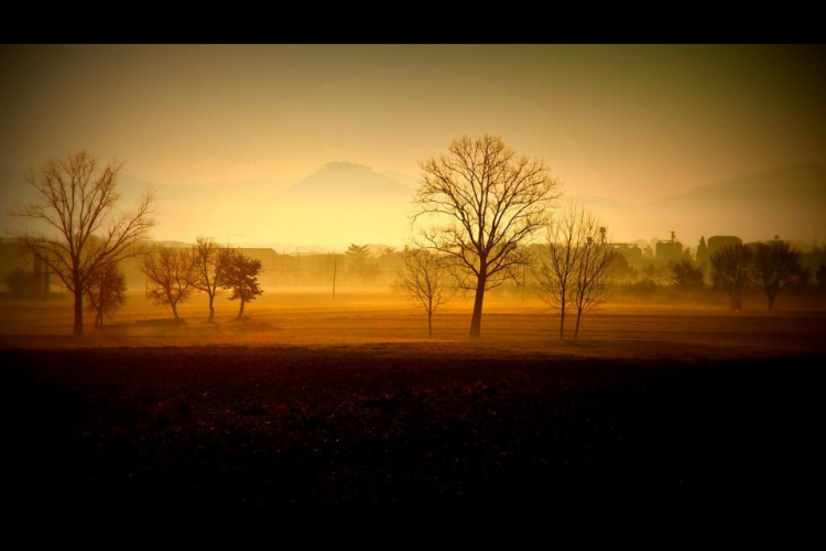 Val di Chiana, alba